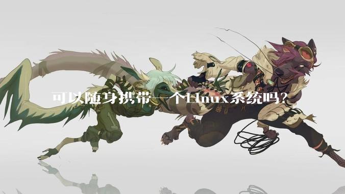 可以随身携带一个Linux系统吗？