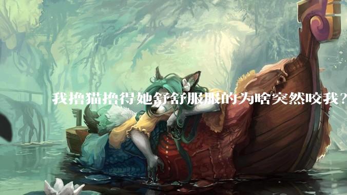 我撸猫撸得她舒舒服服的为啥突然咬我？